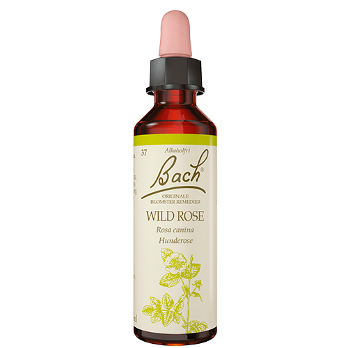 Dr. Bach Hunderose Dråber (10 ml)