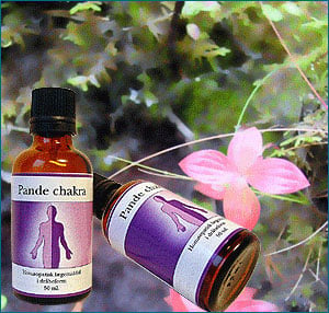 Pande chakra - 50 ml.