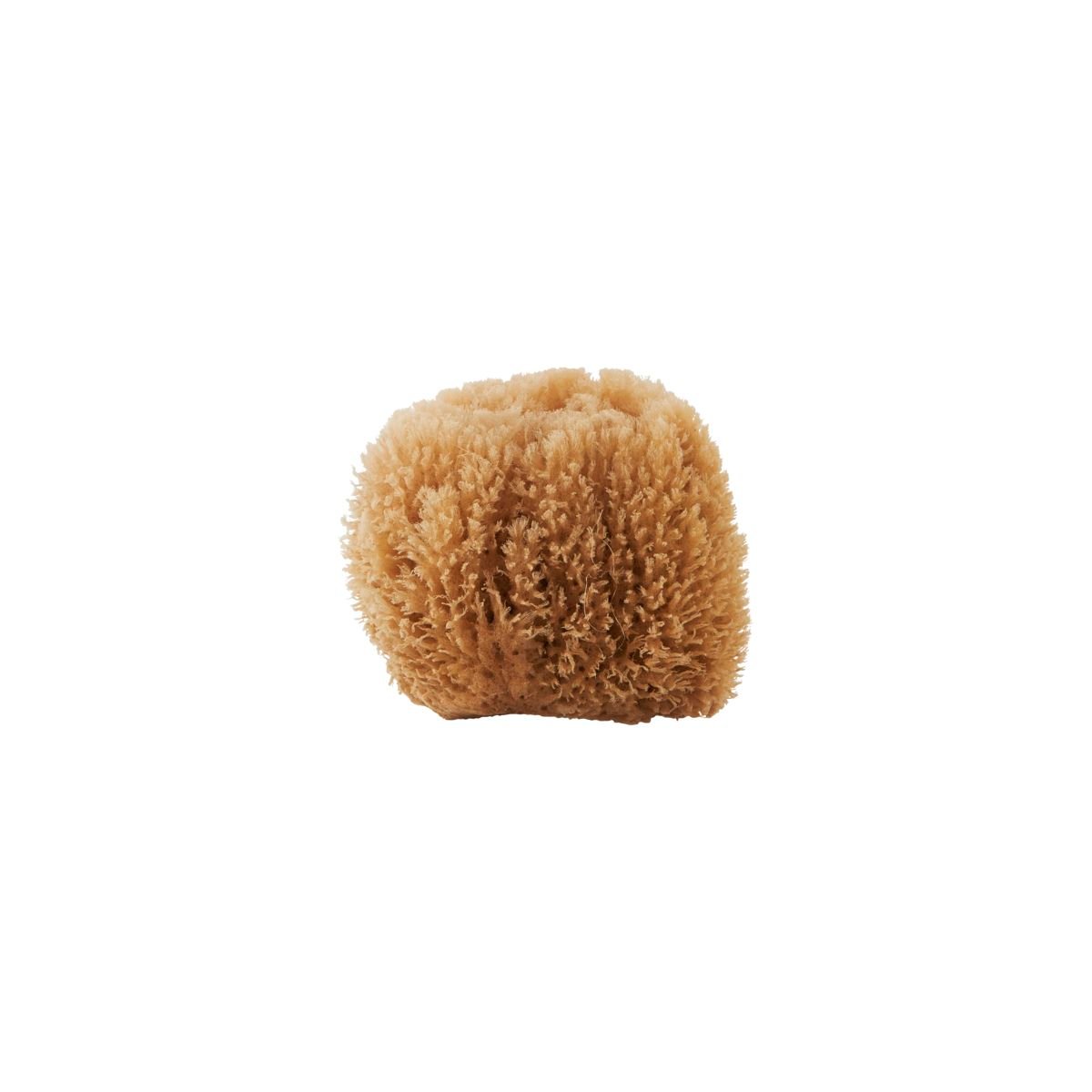 Kropspleje