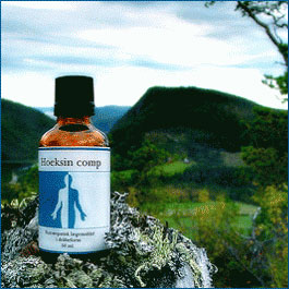 Holistica Medica Hoeksin - 50 ml.