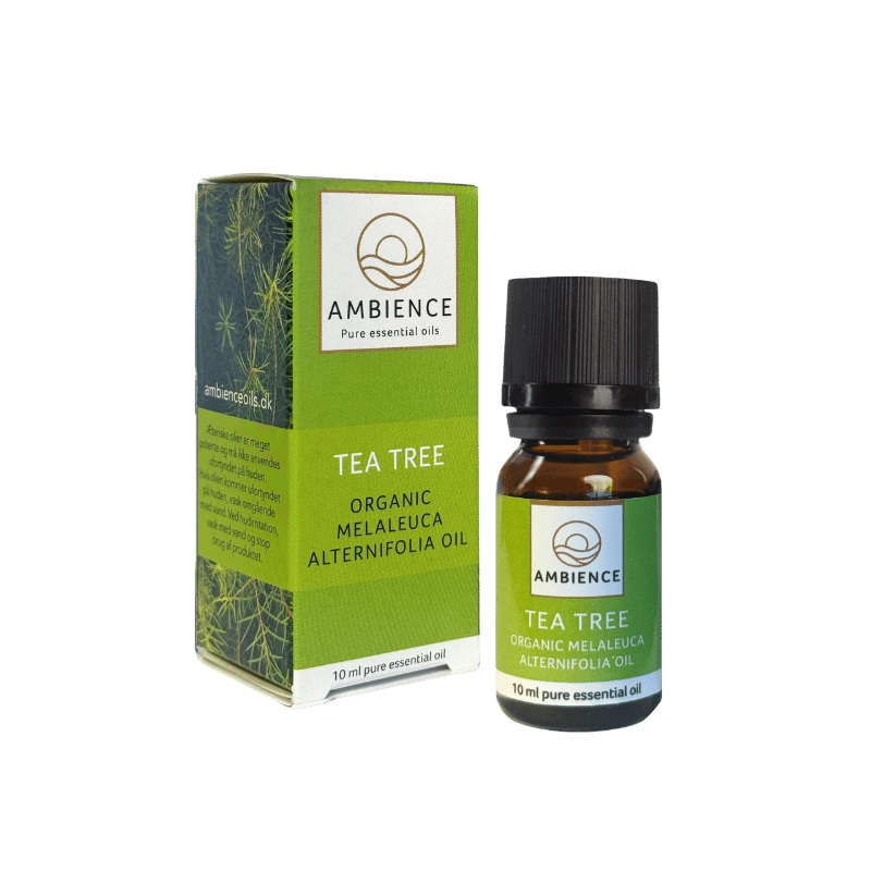 Ambience Æterisk Tea Tree Olie Ø (10 ml)