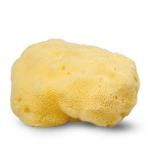 Cocoon Natursvamp Silke 10-11 cm (1 stk)