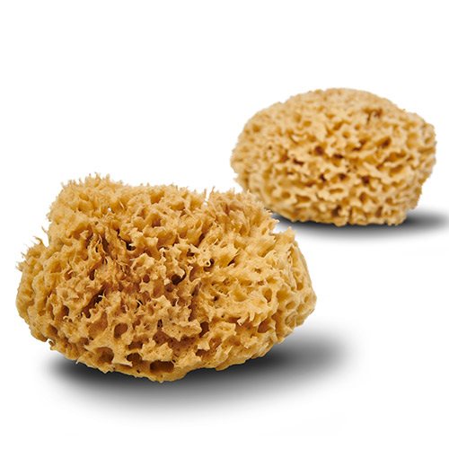 Cocoon Natursvamp Honeycomb 12 cm -1 stk