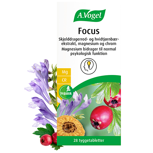 A. Vogel Focus (28 tabl)