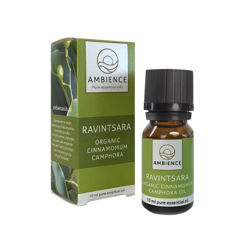 Ambience Æterisk Kamfertræ Olie Ø (10 ml)