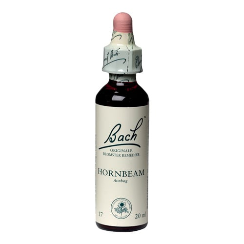 Bachs Avnbøg (Hornbeam) - 20 ml.