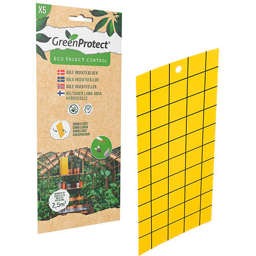 Green Protect Gule Insektfælder - 5 stk