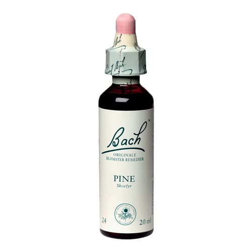 Bachs Skovfyr (Pine) - 20 ml.
