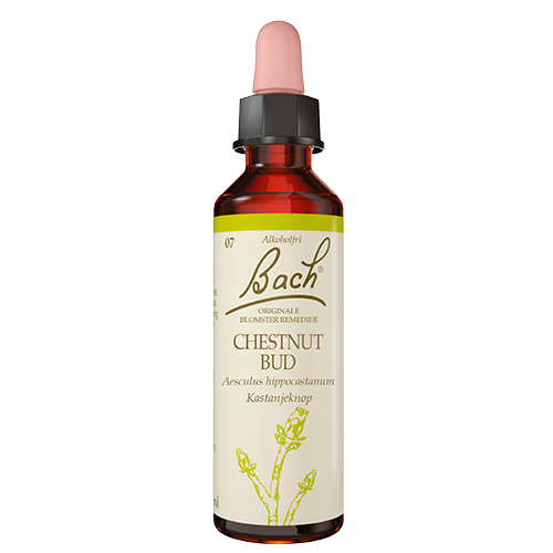 Dr. Bach Kastanieknop Dråber (10 ml)