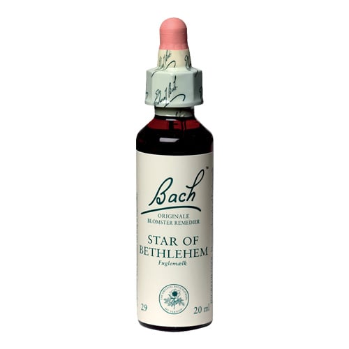 Bachs Fuglemælk (Star of Bethlehem) - 20 ml.