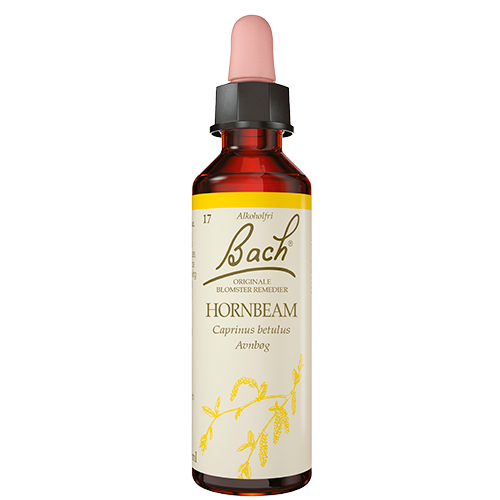 Dr. Bach Avnbøg Dråber (10 ml)