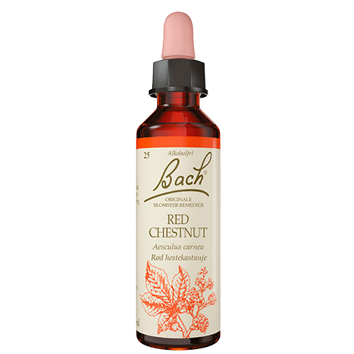 Dr. Bach Rød Hestekastanie Dråber (10 ml)