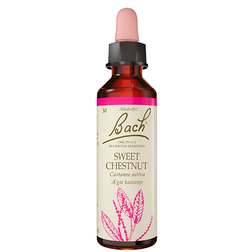 Dr. Bach Ægte Kastanie Dråber (10 ml)