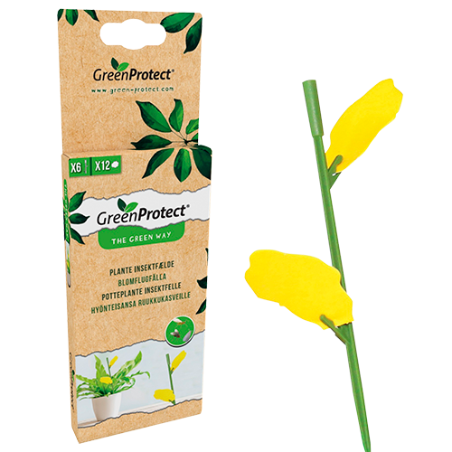 GreenProtect Plante Insektfælde (1 stk)