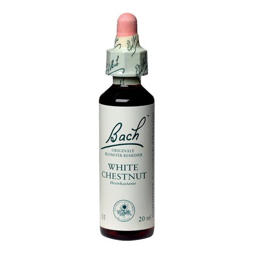 Bachs Hestekastanie Hvid (White Chestnut) - 20 ml.