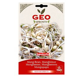 Mungbønner til spiring Ø - 90 g.