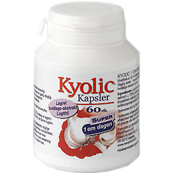 Kyolic hvidløg "1 om dagen" - 60 kaps.
