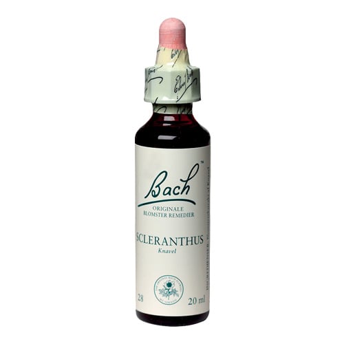 Bachs Knavel (Schleranthus) - 20 ml.