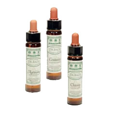 Dr. Bach Gentian Engholm - 10 ml