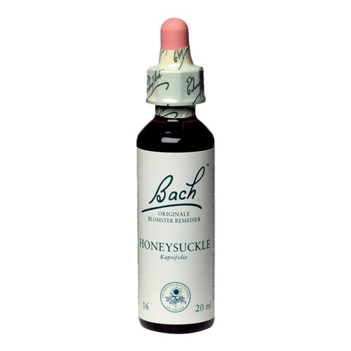 Bachs Kaprifolie (Honeysuckle) - 20 ml.