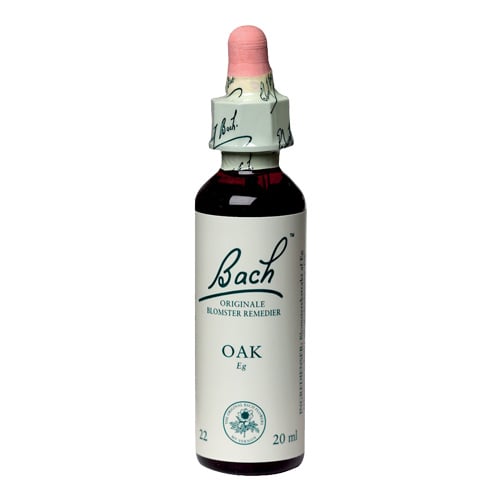 Bachs Eg (Oak) - 20 ml.