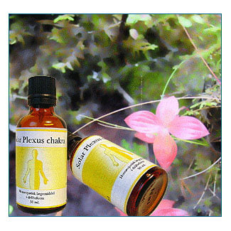 Solar Plexus chakra - 50 ml.