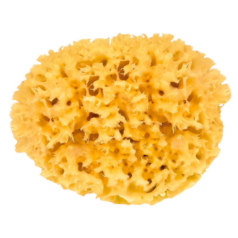 Croll & Denecke Natursvamp 11 cm