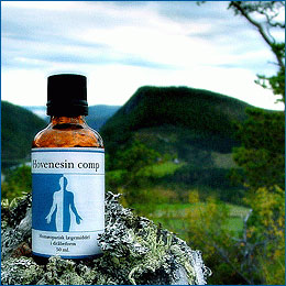 Holistica Medica Hovenesin comp. - 50 ml.