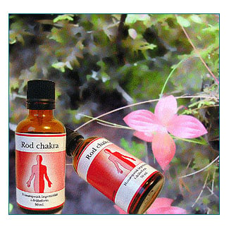 Rod chakra Maskulin - 50 ml.