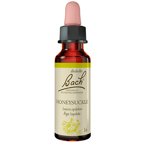 Dr. Bach Ægte Kaprifolie Dråber (10 ml)