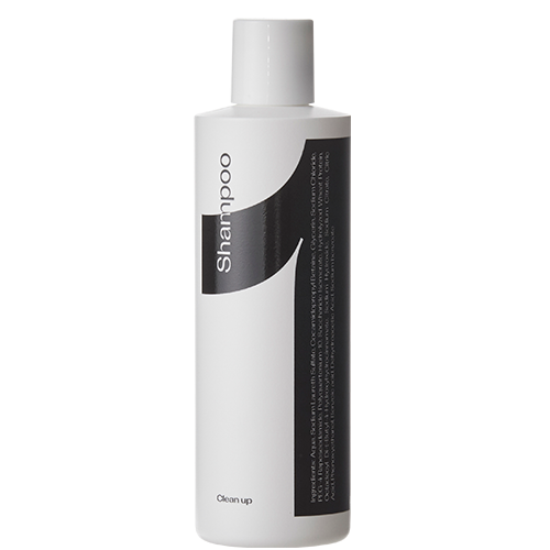Clean Up Shampoo Nr. 2 (250 ml ml)