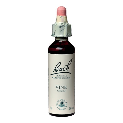 Bachs Vinranke (Vine) - 20 ml.