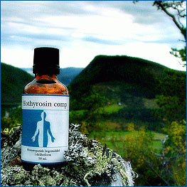 Holistica Medica Hothyrosin comp. - 50 ml.
