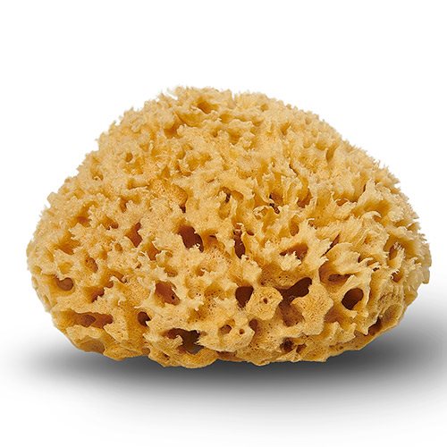 Cocoon Natursvamp Honeycomb 10-11 cm - 1 stk.