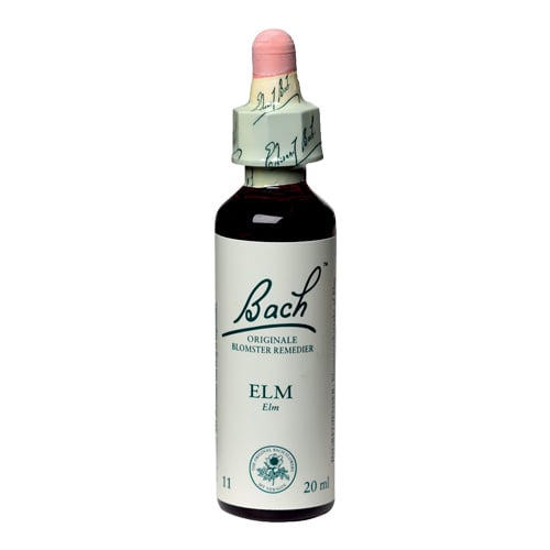 Bachs Elm (Elm) - 20 ml.