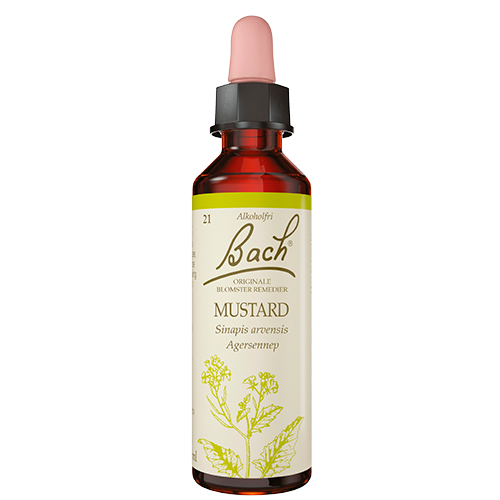 Dr. Bach Agersennep Dråber (10 ml)
