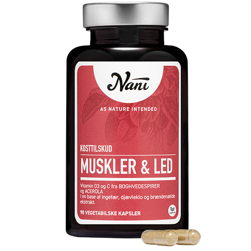Nani Muskler & Led (90 kaps)