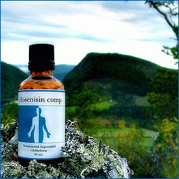 Holistica Medica Hosenisin comp. - 50 ml.