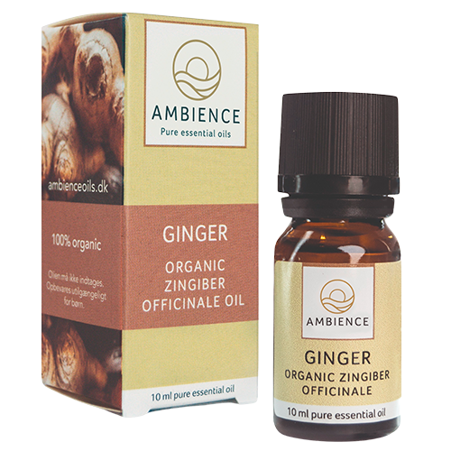 Ambience Ingefær Olie Ø (10 ml)