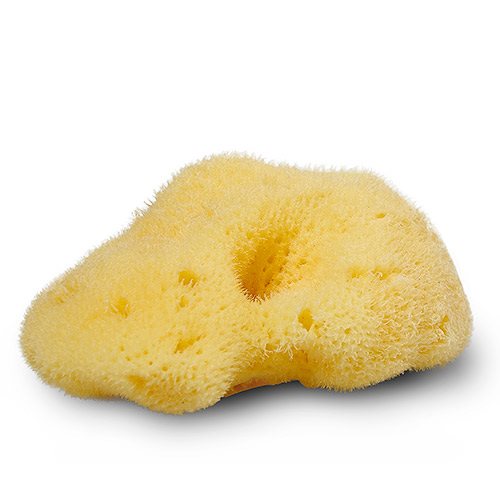 Cocoon Natursvamp Silke 4-5 cm - 1 stk.