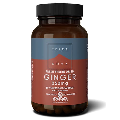 Terranova Ginger (50 stk)