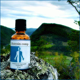 Holistica Medica Honysin comp. - 50 ml.