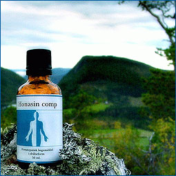 Holistica Medica Honasin - 50 ml.