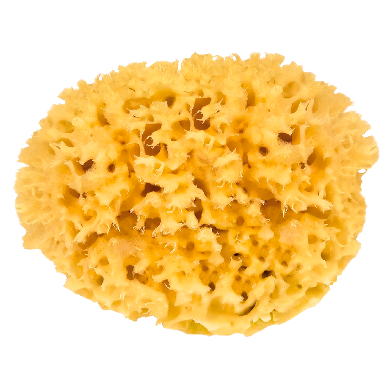 Croll & Denecke Natursvamp 13 cm