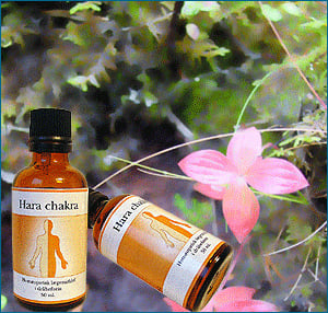 Holistica Medica Hara chakra - 50 ml.