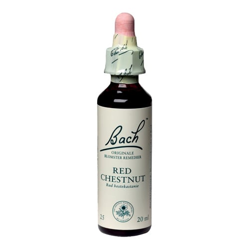 Bachs Rød Hestekastanie (Red Chesnut) - 20 ml.