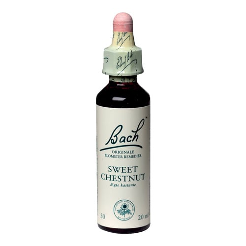 Bachs Ægte Kastanie (Sweet Chestnut) - 20 ml.