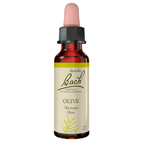Dr. Bach Oliven (10 ml)