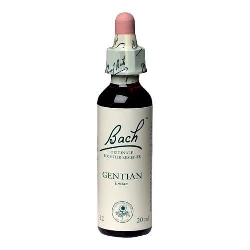 Bachs Ensian (Gentian) - 20 ml.