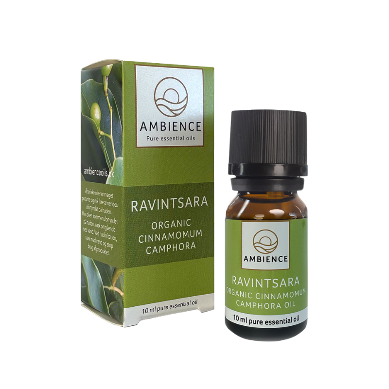 Ambience Æterisk Kamfertræ Olie Ø (10 ml)